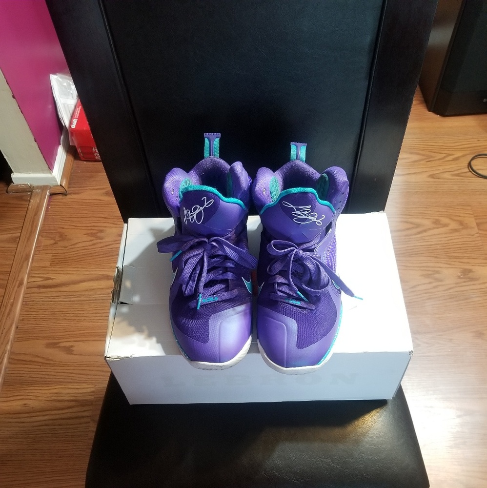 Nike Lebron 9 Summit Lake Hornets 9